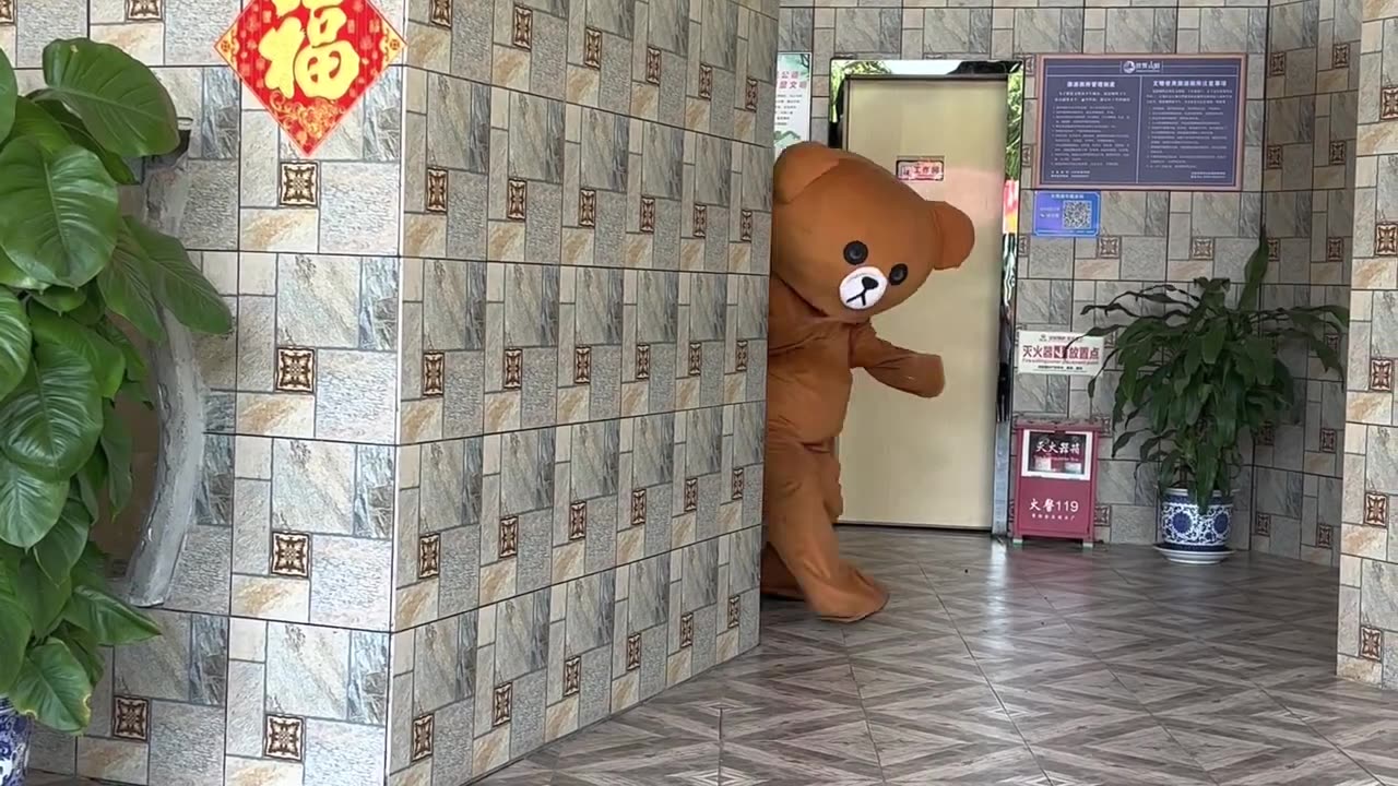 Funny video _ Funny Bear #561