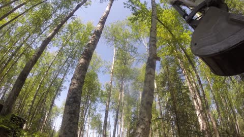 Starting to clear the land || guy builds a homestead by himself in Alaska