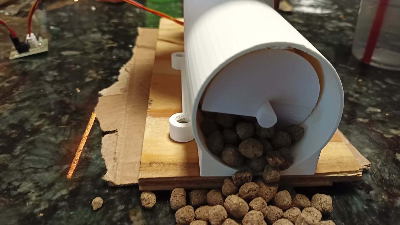 Fish Feeder Test 1