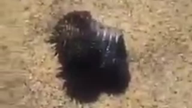 Graphene oxide is everywhere