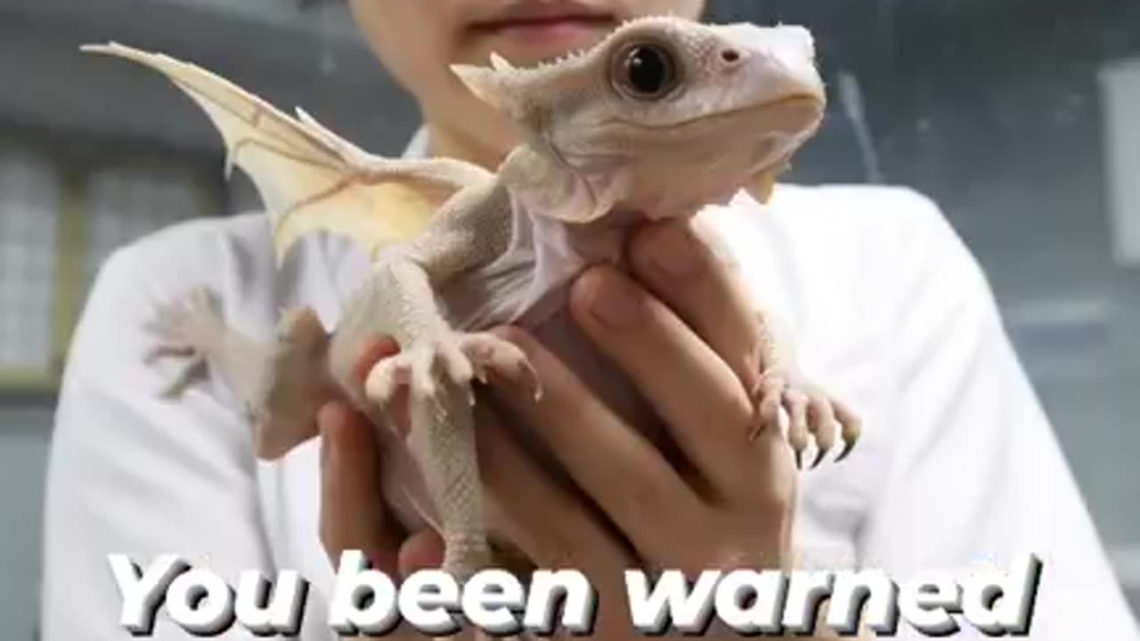 A baby dragons r made by scientists that which can make harm for humans