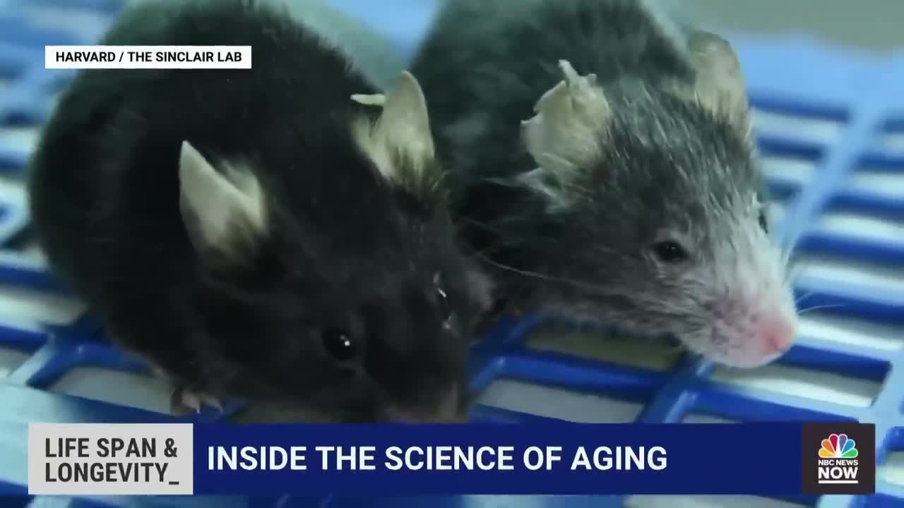 Researchers Say They Are Close To Reversing Aging