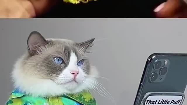 Watch till the end!!!