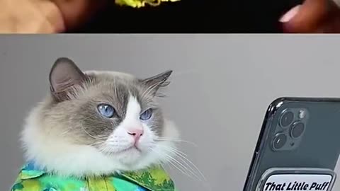 Watch till the end!!!