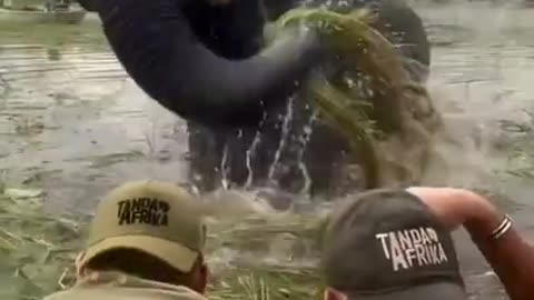 Take A Bath With Me #shorts #viral #shortsvideo #video