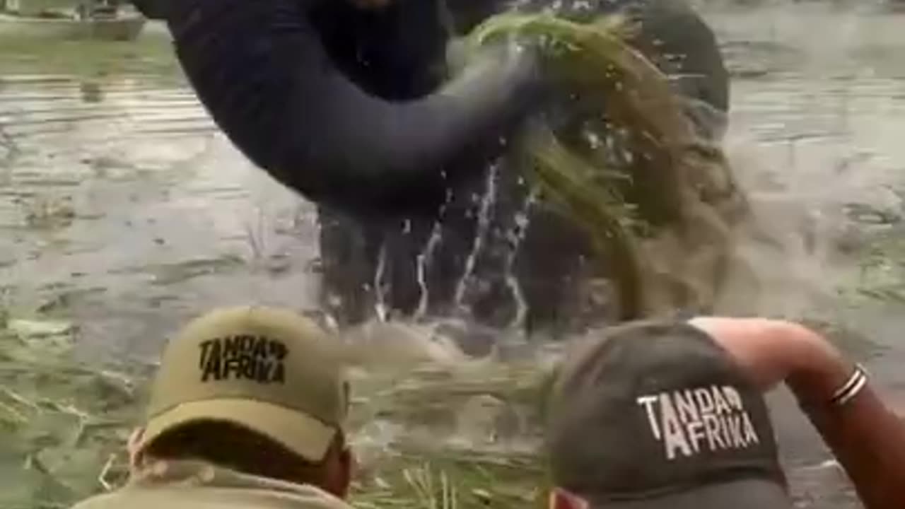 Take A Bath With Me #shorts #viral #shortsvideo #video