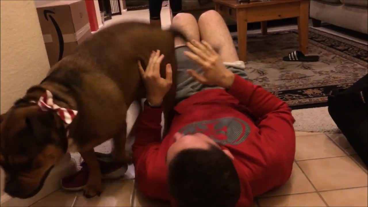 Dog Reunites with his Marine after 7 Month Deployment (ENDLESS HUGS, KISSES, AND TAIL-WAGGING!)