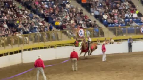 Freedom Riders at the Saturday Wild West Show