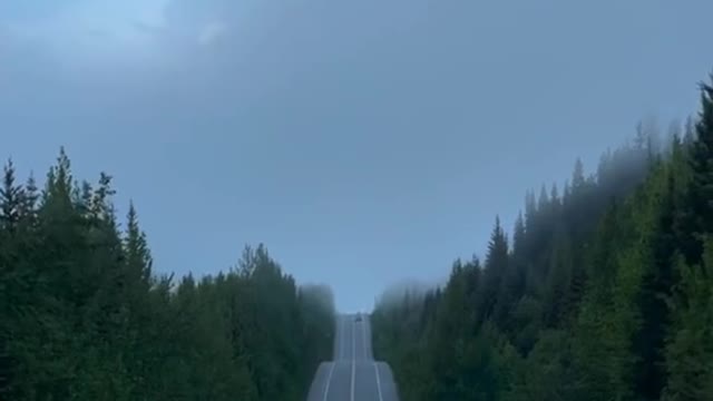All the way to the scenery, walking and watching.