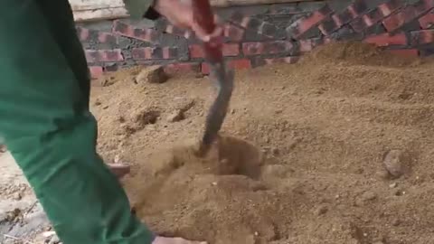 Plaster
