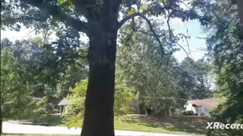 Beautiful day
