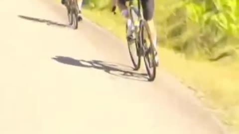 MotoGP riders would be proud of these saves