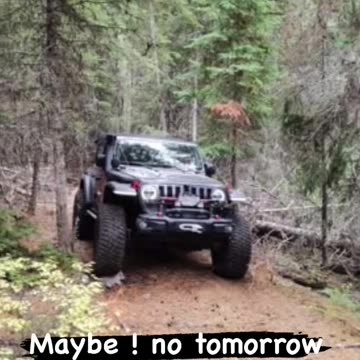 Sherpa-one jeeps can swim
