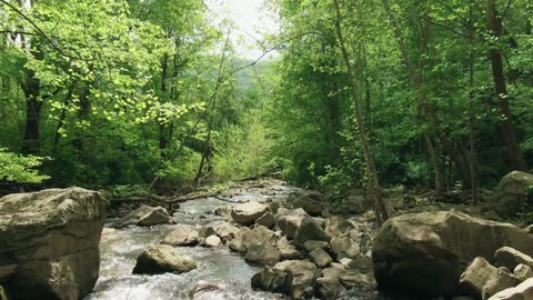 Sleep & Relaxation * Scenic Stream Flyover & Soothing Music * Drift Off To Sleep Fast