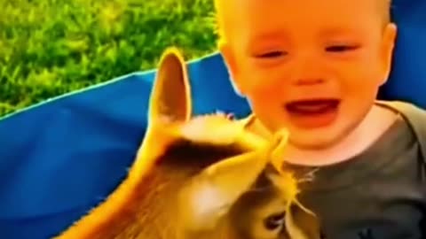 Funny babies video #viral