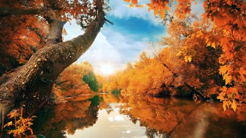 Beauty of nature/beautiful spring