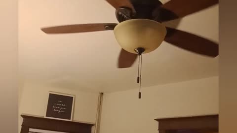 Rob haunts the apartment
