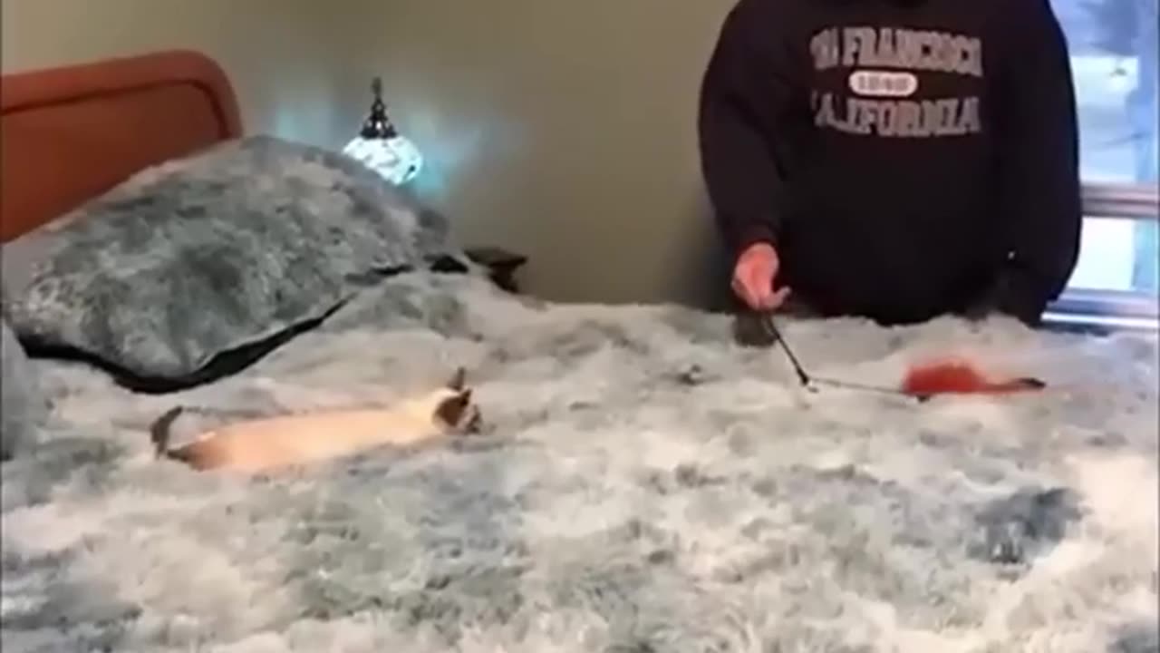 Try Not to Laugh Challenge 😂😂🤣 #funny #viral #prank #memes #fun