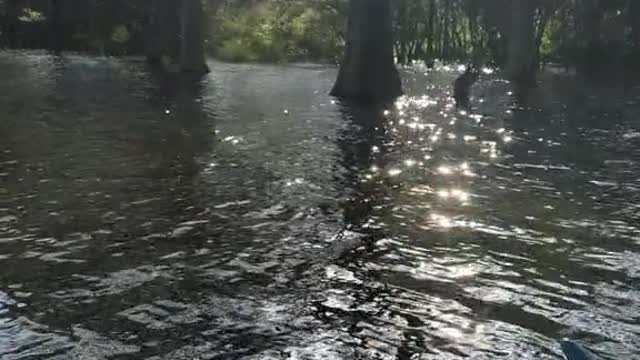 Morning Paddle