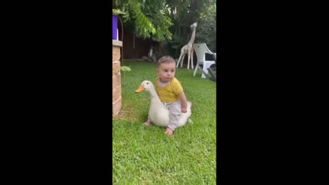 baby shark riding a goose