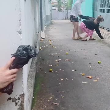 troll girls and the ending is too bitter