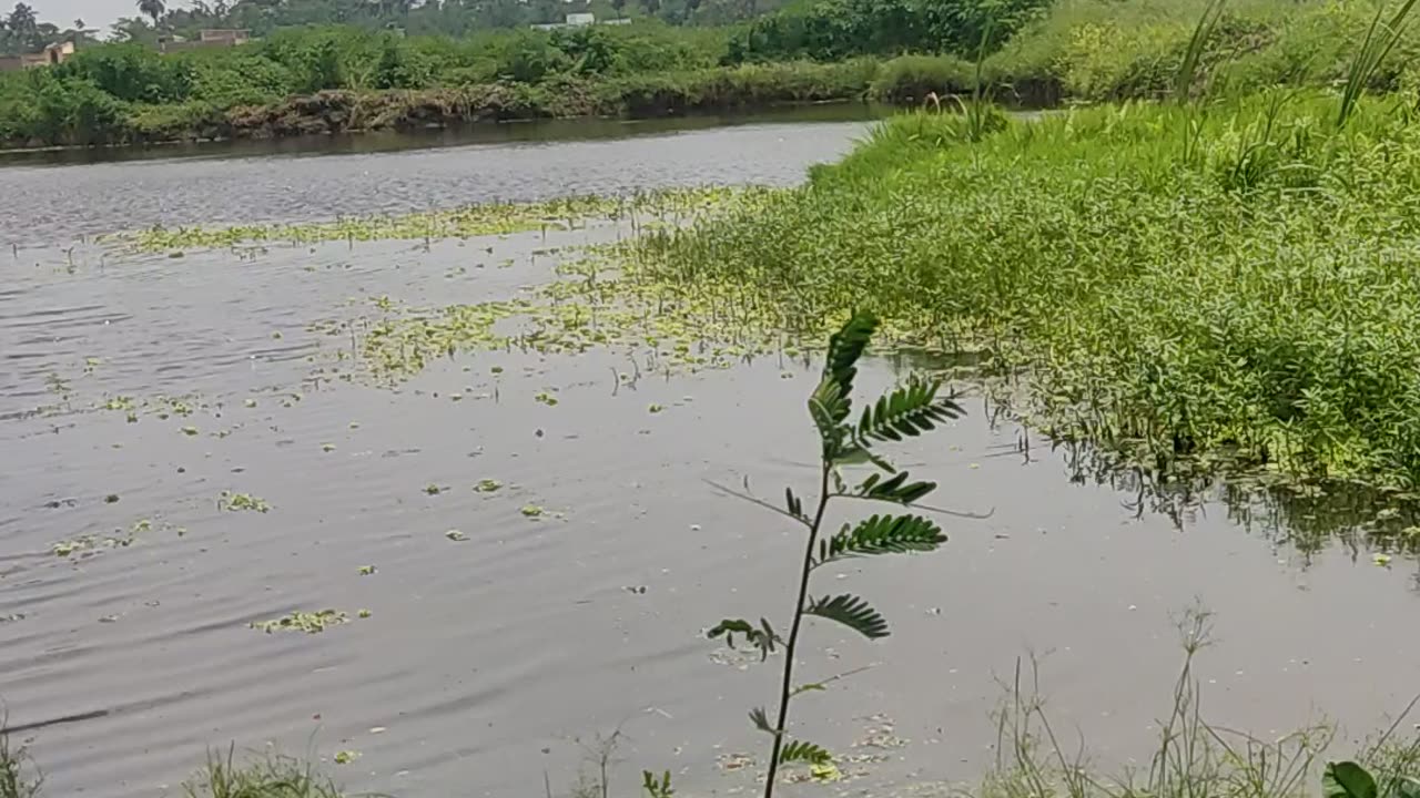 Beautiful full lake