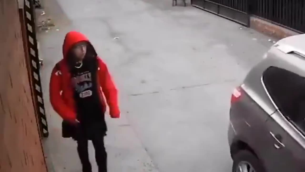 Dog Saves Girl From Kidnapping