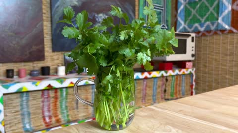 Trick to Make Herbs Fresh Again & Cooking Tips to Make Herbs Last Longer