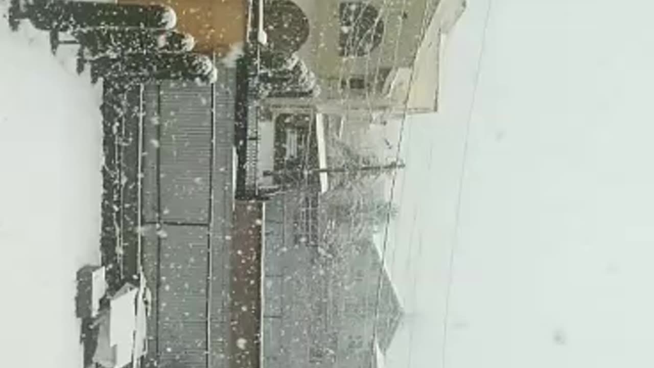 Snowfall in Kashmir