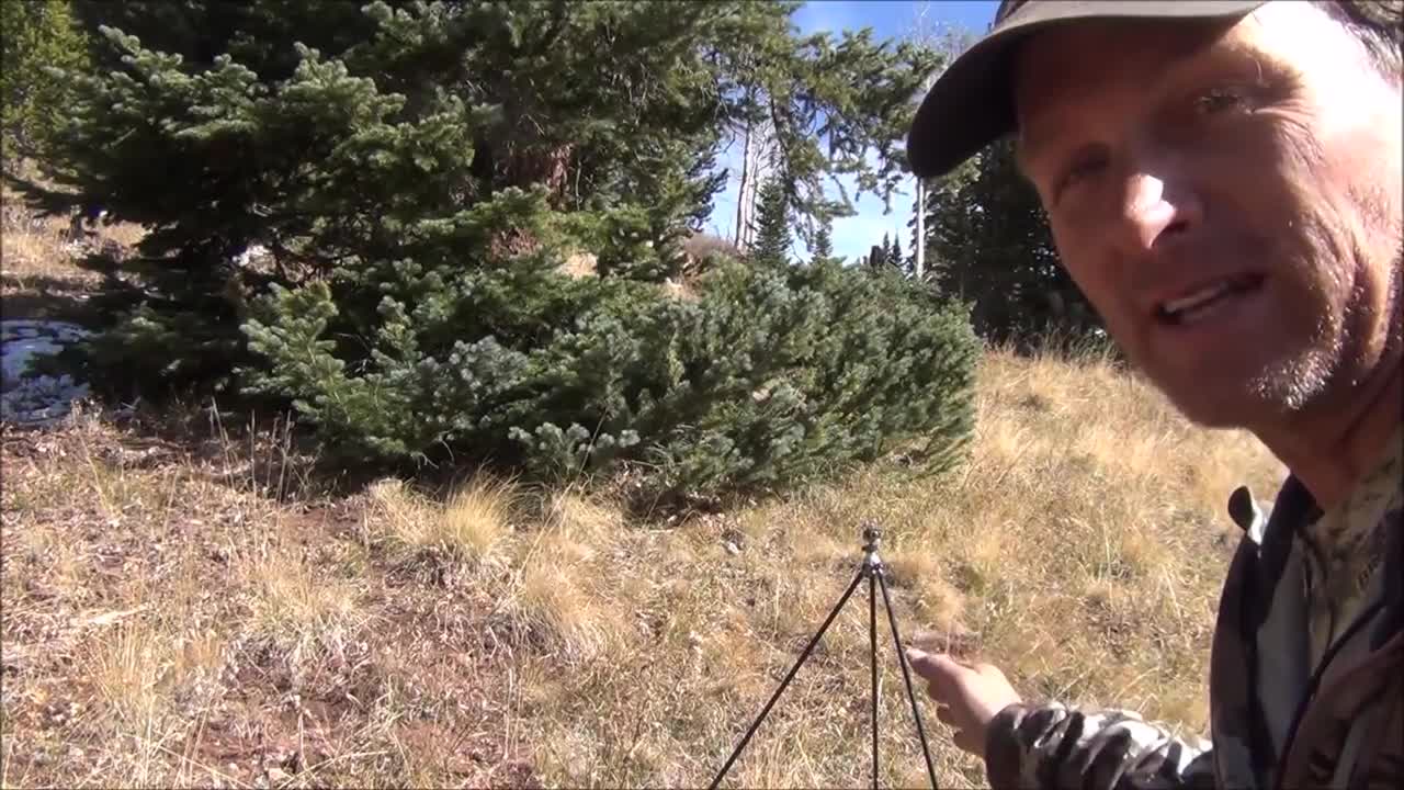 Optics Balance Adjuster Review