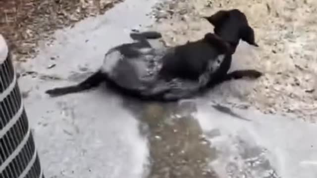 Weee