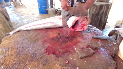 Huge Cobia Fish Cutting Skills _ Fish Cutting Skills