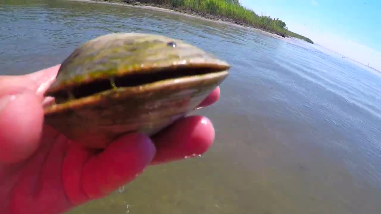 I Found Giant Crystal Holographic Diamond Pearl buried in sea.