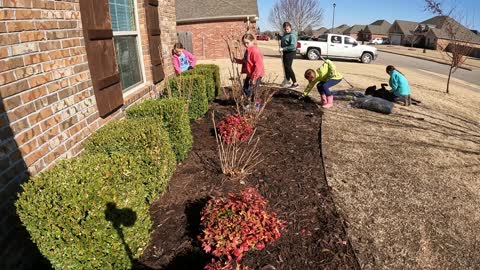 Spring flower bed cleanup