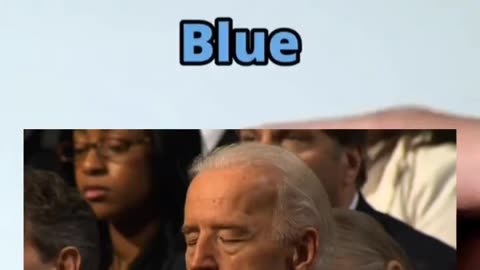 Guess The Colors with Trump