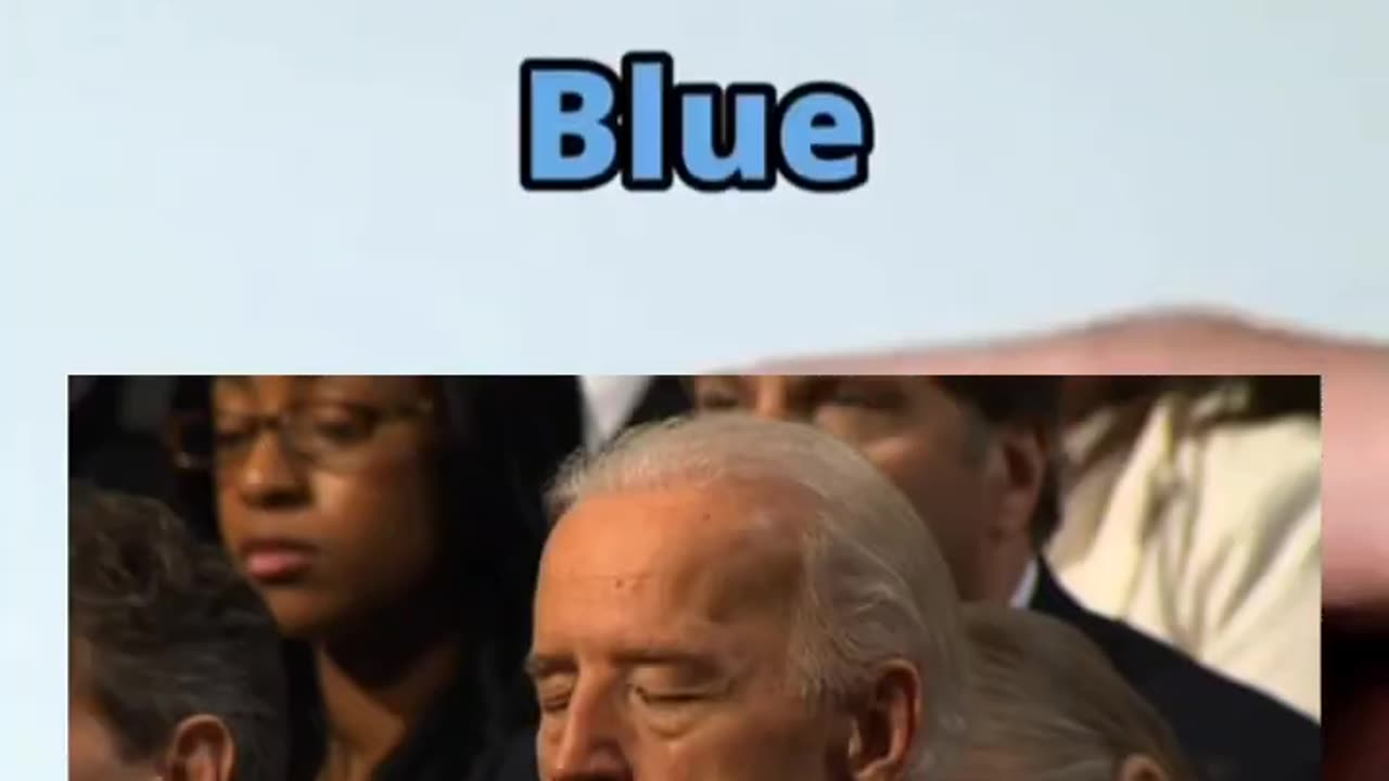 Guess The Colors with Trump