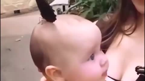 baby and butterfly