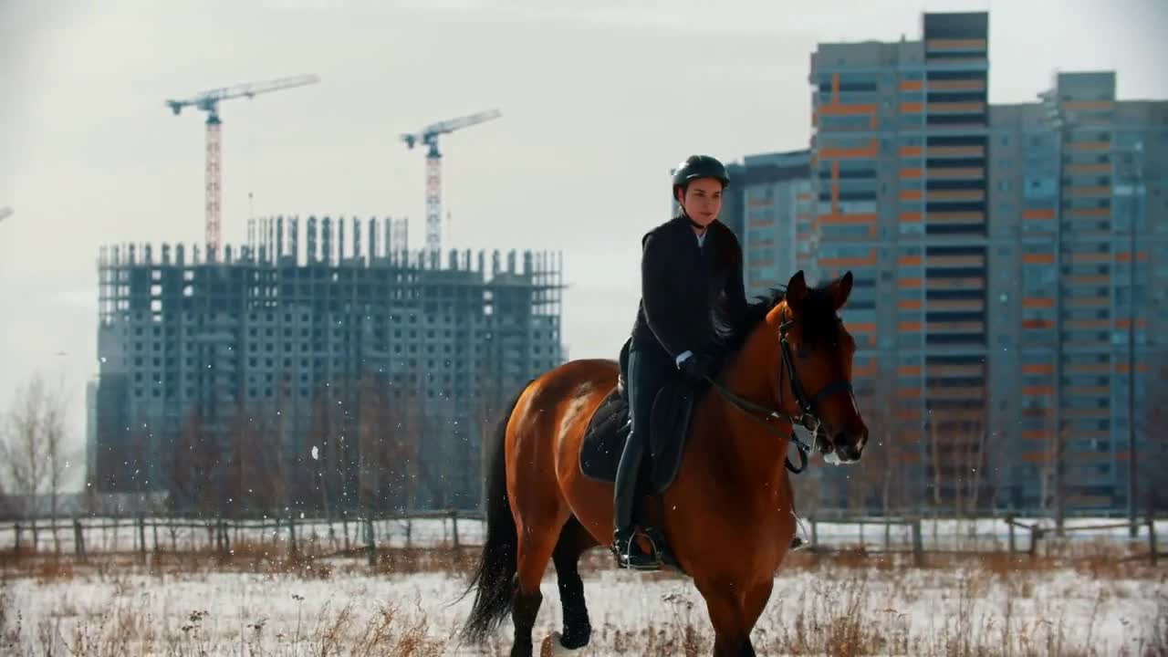 Horse riding - horsewoman riding a horse quickly riding on a snowy field