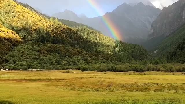 long time no see rainbow