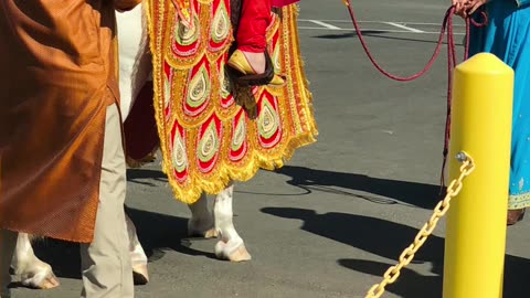 Aarya Baraat in Sacramento July 26,2019