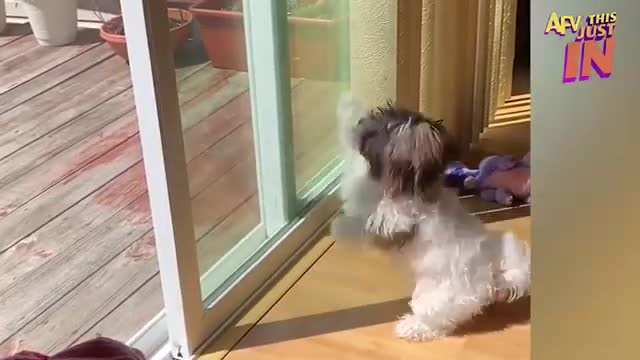 Try Not To Laugh Challenge! 😂 Funniest Fails of the Week | Live AFV