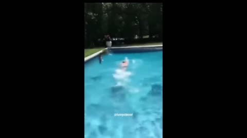 Funniest Cats And Dogs Videos 😁 - Best Funny Animal Videos 2024