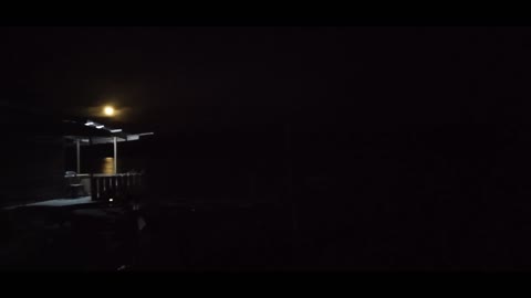 cricket-on-summer-night