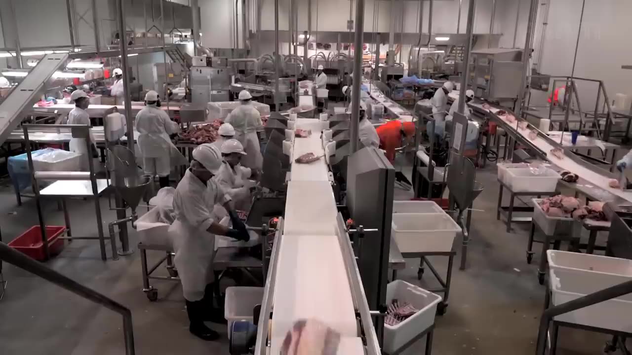 Incredible Modern Sheep Processing Factory Technology - Factory Automatic Process Millions Sheep