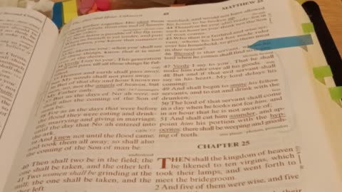 He that hath an 👂 ear let him 🦻 hear what the spirit saith unto the churches. Part 8