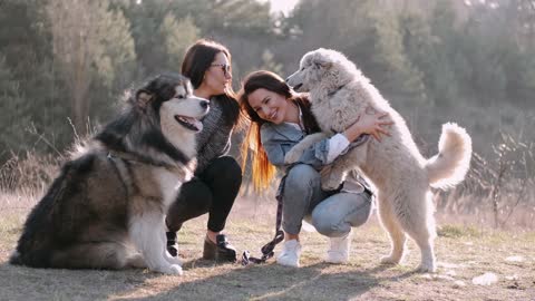 Best dogs😘
