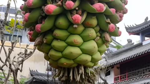 #beautifulnature