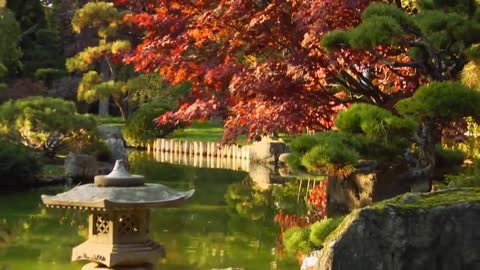 Peaceful Music, Relaxing Music, Instrumental Music Hymns of peace by Tim Janis