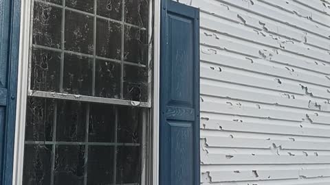 Hailstorm Leaves Destruction Behind in Maryland