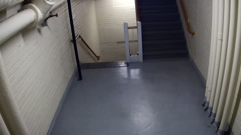 3891FHOB05Stair4_2021-01-06_18h20min01s690ms.mp4